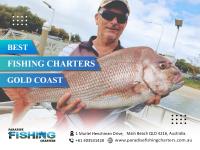 Paradise Fishing Charters Gold Coast image 2